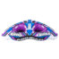 Airhead Turbo Blast 2 | 2 Rider Towable Tube for Boating official gallery image